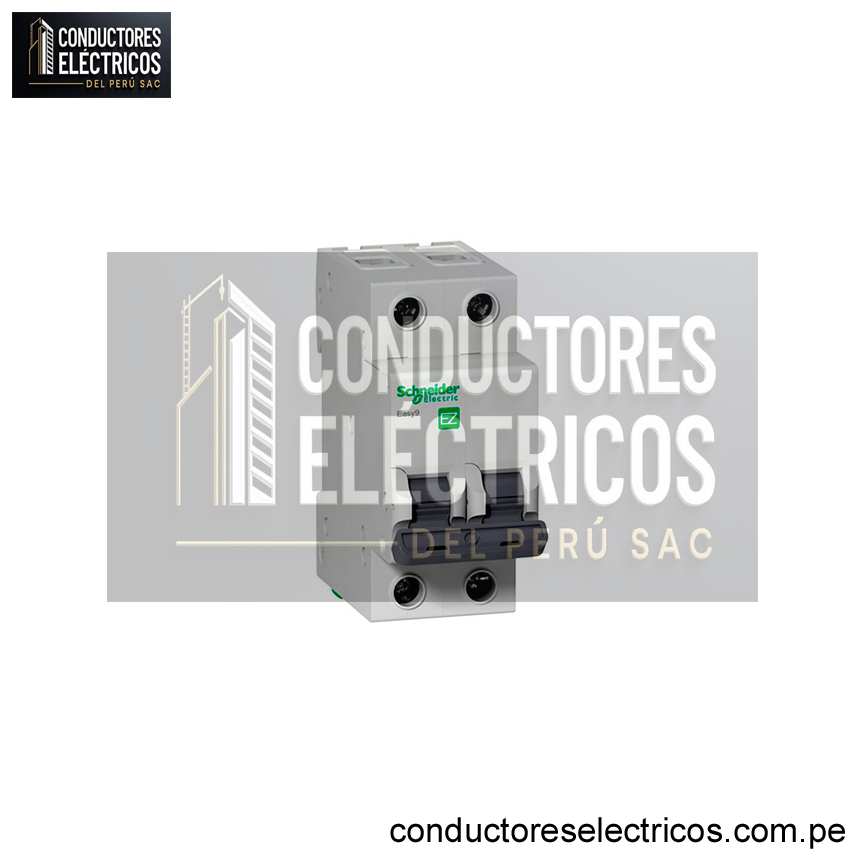 INTERRUPTOR TERMOMAGNÉTICO 2X40 A -10KA/220VAC EZ - SCHNEIDER