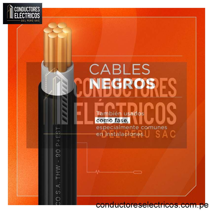 CABLE INDECO THW-90 +PLUS 10 AWG 450/750 V X 100 METROS  NEGRO