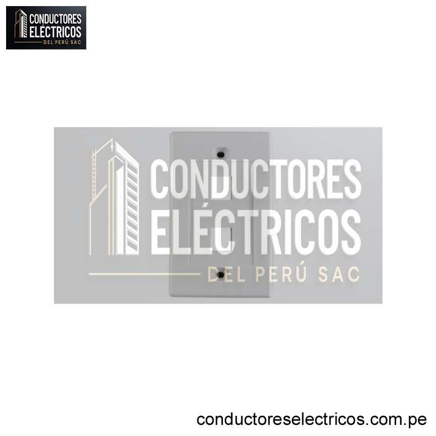 FACE PLATE DE 2PUERTOS