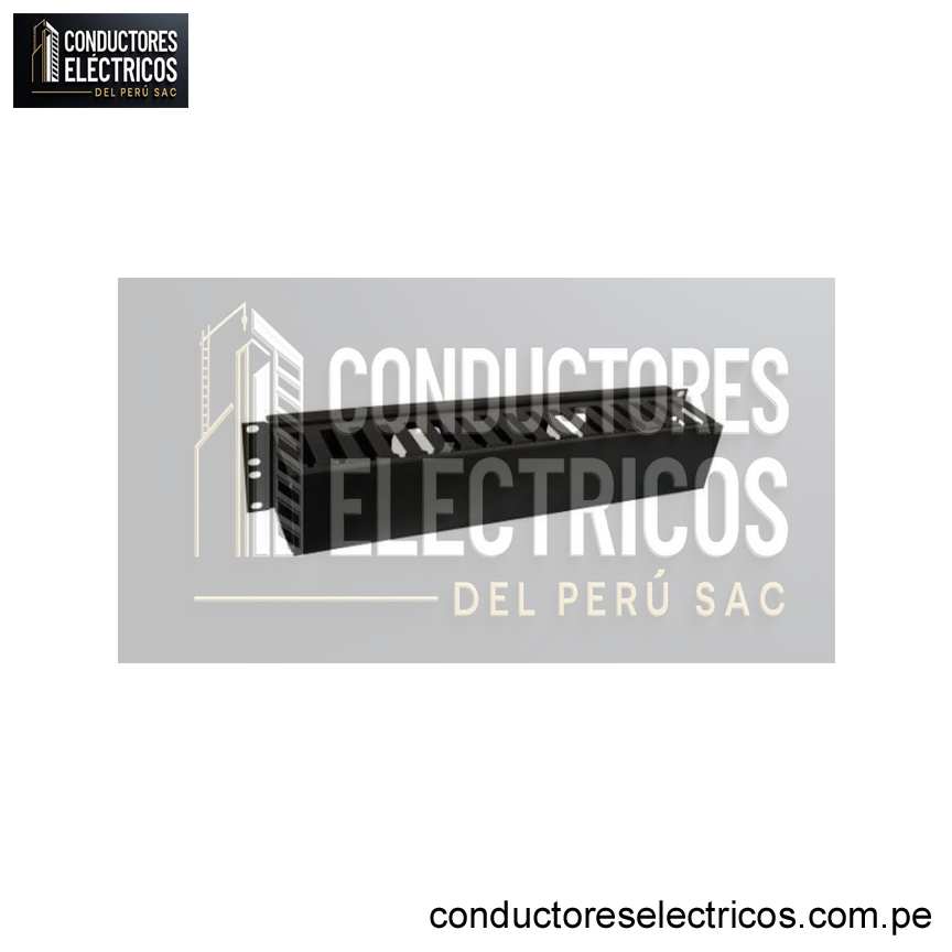 ORDENADOR DE CABLE DE RED DE 2RU